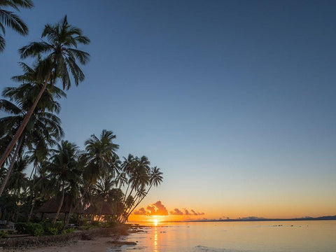 Fiji-Vanua Levu Beach sunset with palm trees White Modern Wood Framed Art Print with Double Matting by Merrill Images