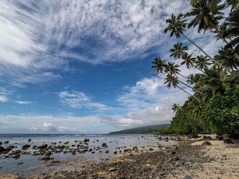 Fiji-Taveuni Island Beach with palm trees and white clouds Black Ornate Wood Framed Art Print with Double Matting by Merrill Images