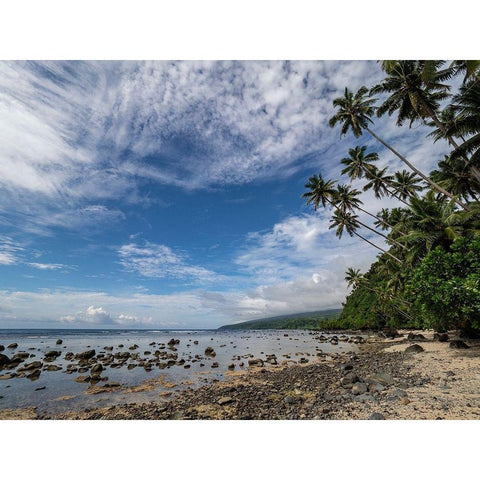 Fiji-Taveuni Island Beach with palm trees and white clouds Black Modern Wood Framed Art Print by Merrill Images