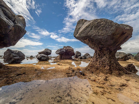 Fiji-Taveuni Island Rock formations on the beach of Lavena showing erosion White Modern Wood Framed Art Print with Double Matting by Merrill Images