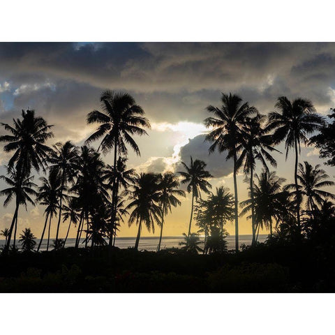 Fiji-Taveuni Island Beach sunset with palm trees Black Modern Wood Framed Art Print by Merrill Images