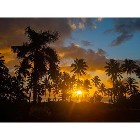 Fiji-Taveuni Island Beach sunset with palm trees Black Modern Wood Framed Art Print by Merrill Images