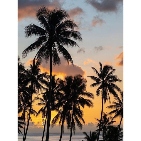 Fiji-Taveuni Island Beach sunset with palm trees White Modern Wood Framed Art Print by Merrill Images