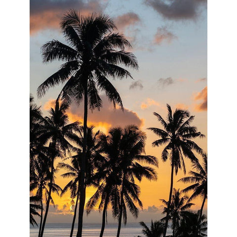 Fiji-Taveuni Island Beach sunset with palm trees Black Modern Wood Framed Art Print by Merrill Images