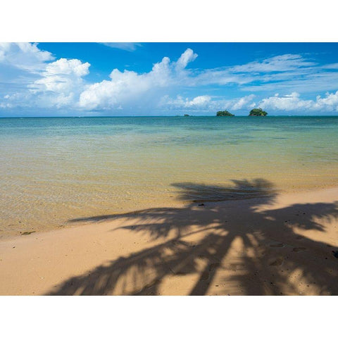 Fiji-Taveuni Island Silhouette of a palm tree on sandy beach with blue sky Black Modern Wood Framed Art Print by Merrill Images