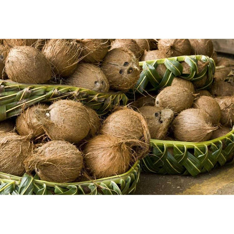 Polynesia, Kingdom of Tonga Coconuts for sale Black Modern Wood Framed Art Print with Double Matting by Kaveney, Wendy