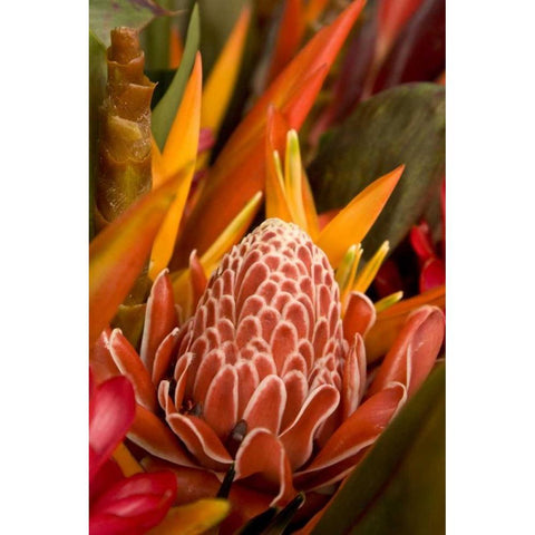 French Polynesia Tropical native flowers Black Modern Wood Framed Art Print by Kaveney, Wendy