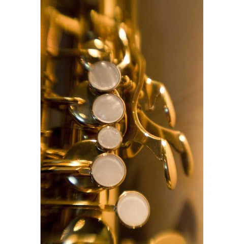 French Polynesia Saxophone used in band White Modern Wood Framed Art Print by Kaveney, Wendy