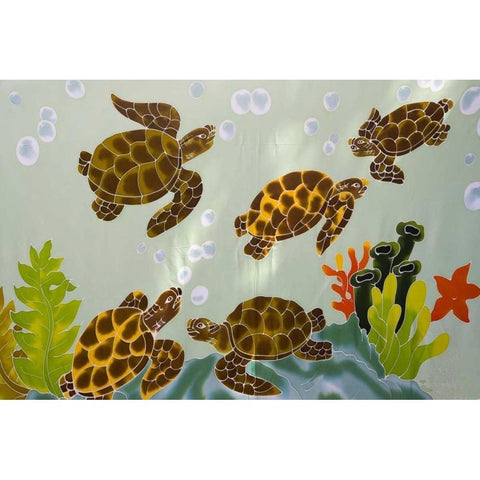 French Polynesia, Bora Bora Tutle painted fabric White Modern Wood Framed Art Print by Kaveney, Wendy