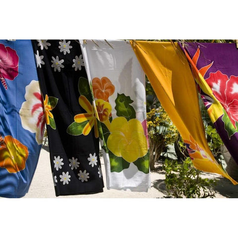 French Polynesia,Tahaa Pareos blows in the wind Gold Ornate Wood Framed Art Print with Double Matting by Kaveney, Wendy