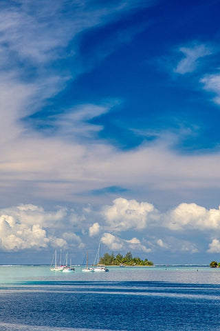 French Polynesia- Moorea. Moored boats and small island. Black Ornate Wood Framed Art Print with Double Matting by Jaynes Gallery