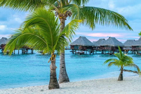 French Polynesia- Moorea. Overwater bungalows Black Ornate Wood Framed Art Print with Double Matting by Jaynes Gallery