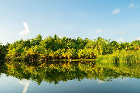 French Polynesia- Tahaa. Tropical jungle reflects in lagoon. Black Ornate Wood Framed Art Print with Double Matting by Jaynes Gallery