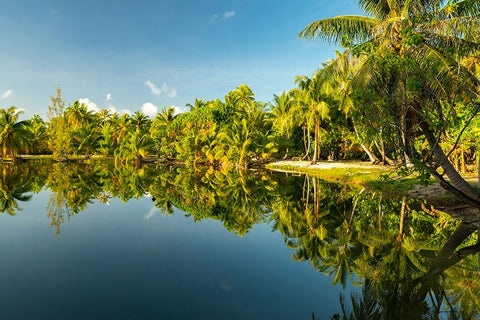 French Polynesia- Tahaa. Tropical jungle reflects in lagoon. Black Ornate Wood Framed Art Print with Double Matting by Jaynes Gallery