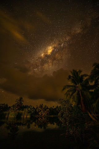 French Polynesia- Tahaa. Palm trees and night sky with Milky Way. Black Ornate Wood Framed Art Print with Double Matting by Jaynes Gallery