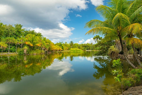 French Polynesia- Tahaa. Tropical jungle reflects in lagoon. Black Ornate Wood Framed Art Print with Double Matting by Jaynes Gallery