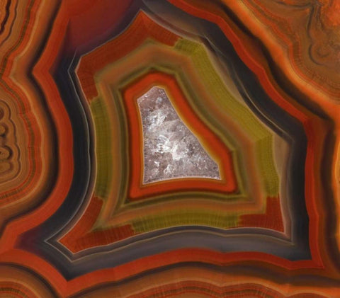 Argentina Close-up of Condor Agate stone Black Ornate Wood Framed Art Print with Double Matting by Kirkland, Dennis