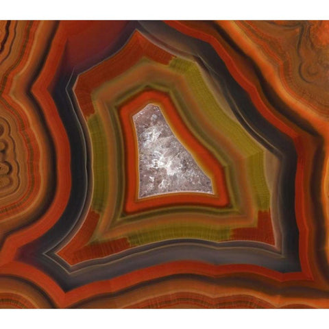 Argentina Close-up of Condor Agate stone Black Modern Wood Framed Art Print by Kirkland, Dennis