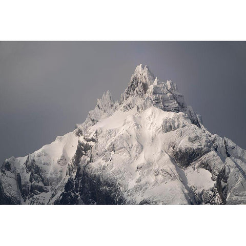 South America-Argentina-Tierra del Fuego Snowy peak of Mt Olivia  Black Modern Wood Framed Art Print by Jaynes Gallery