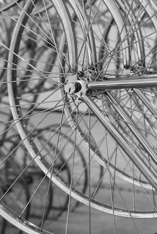 Metal bicycle wheels Black Ornate Wood Framed Art Print with Double Matting by Hopkins, Cindy Miller