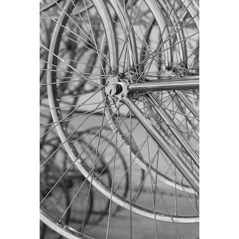 Metal bicycle wheels Gold Ornate Wood Framed Art Print with Double Matting by Hopkins, Cindy Miller