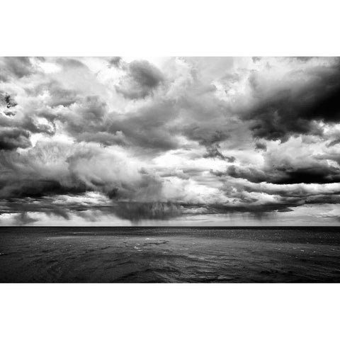 Argentina-Santa Cruz Monte Leon National Park-the only coastal park in Argentina White Modern Wood Framed Art Print by Molinari, Michele