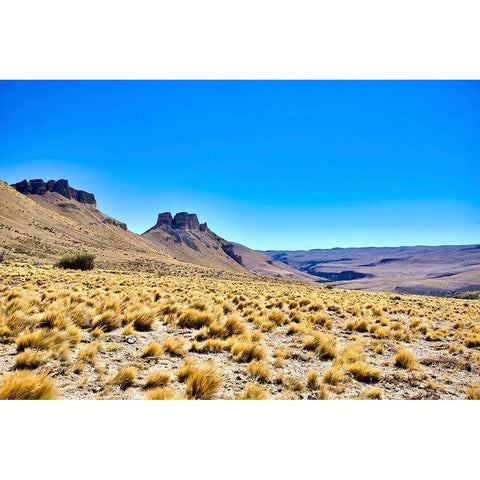 Argentina-Santa Cruz Alero Charcamata (cave paintings site) and surroundings Gold Ornate Wood Framed Art Print with Double Matting by Molinari, Michele