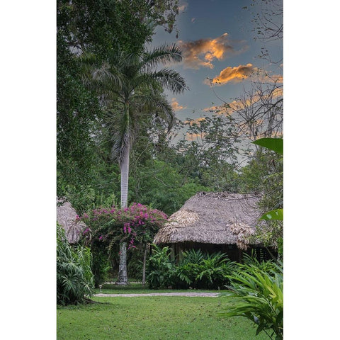 Belize-Central America-Chan Chich Ecolodge in the Western Belize Jungle Black Modern Wood Framed Art Print by Norring, Tom