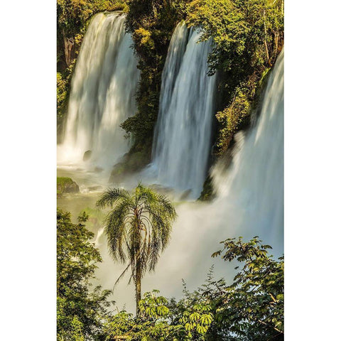Brazil-Iguazu Falls Landscape of waterfalls  Black Modern Wood Framed Art Print by Jaynes Gallery