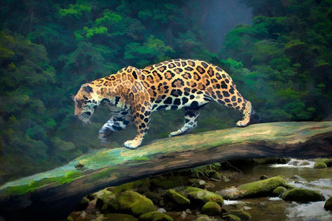 Brazil-Pantanal Abstract of jaguar walking on log White Modern Wood Framed Art Print with Double Matting by Jaynes Gallery