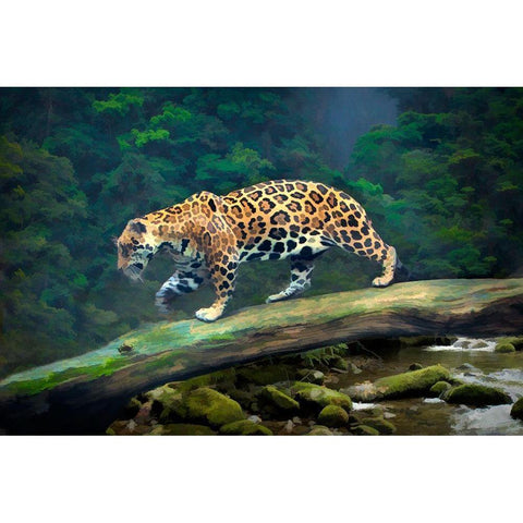 Brazil-Pantanal Abstract of jaguar walking on log White Modern Wood Framed Art Print by Jaynes Gallery