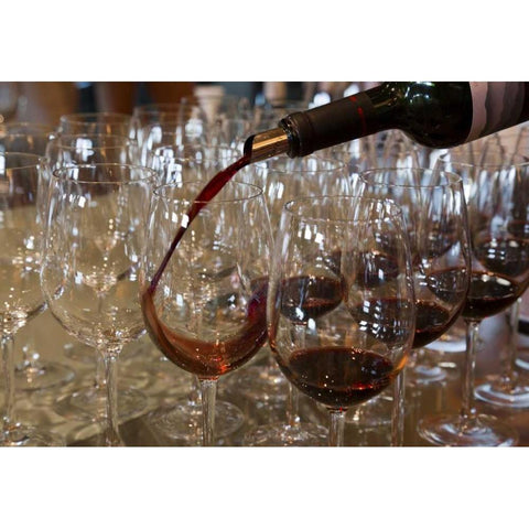 Chile, Colchagua Pouring wine for tasting White Modern Wood Framed Art Print by Kaveney, Wendy