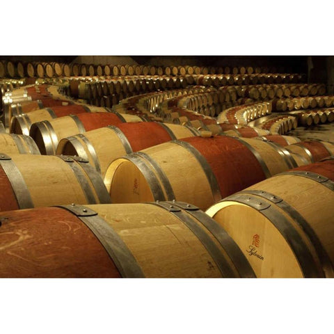 Chile, Colchagua Wine barrels in the cellar Black Modern Wood Framed Art Print with Double Matting by Kaveney, Wendy