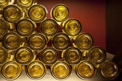 Chile, Casablanca Valley Wine bottle bottom Black Ornate Wood Framed Art Print with Double Matting by Kaveney, Wendy