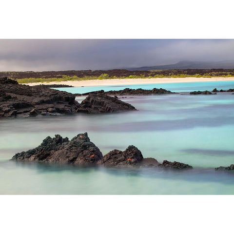 Lava rocks along tranquil shoreline of San Cristobal Island-Galapagos-Ecuador Black Modern Wood Framed Art Print by Jones, Adam