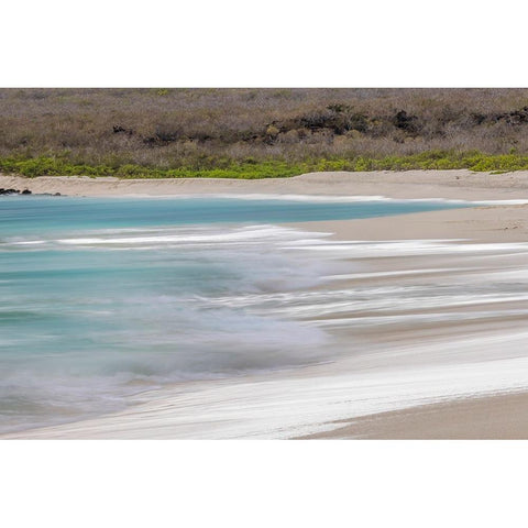 Surf pattern washing up on white sandy beach-Espanola Island-Galapagos Islands-Ecuador Black Modern Wood Framed Art Print by Jones, Adam