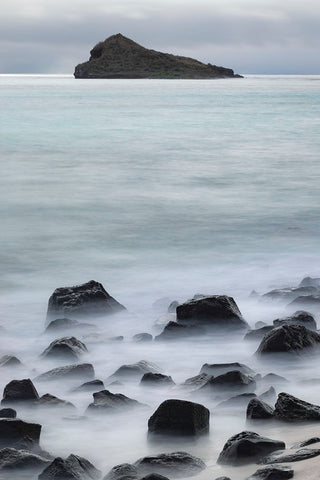 Waves crashing over lava rocks on shoreline of Espanola Island-Galapagos Islands-Ecuador Black Ornate Wood Framed Art Print with Double Matting by Jones, Adam