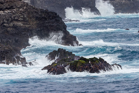 Waves crashing over lava rocks on shoreline of Espanola Island-Galapagos Islands-Ecuador White Modern Wood Framed Art Print with Double Matting by Jones, Adam