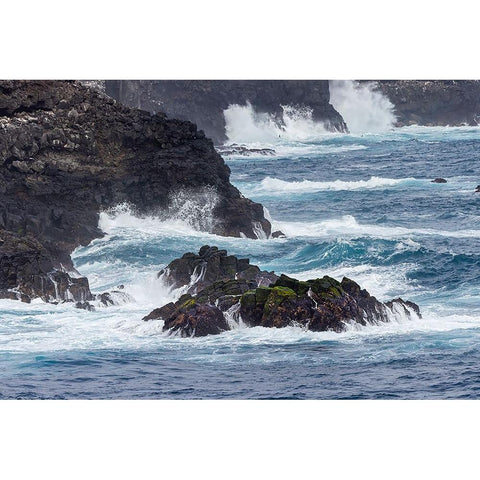 Waves crashing over lava rocks on shoreline of Espanola Island-Galapagos Islands-Ecuador Gold Ornate Wood Framed Art Print with Double Matting by Jones, Adam