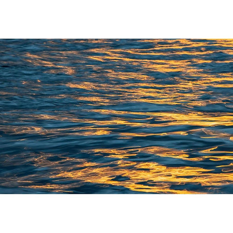 Sunset light on waters off Santa Cruz Island-Galapagos Islands-Ecuador Black Modern Wood Framed Art Print with Double Matting by Jones, Adam
