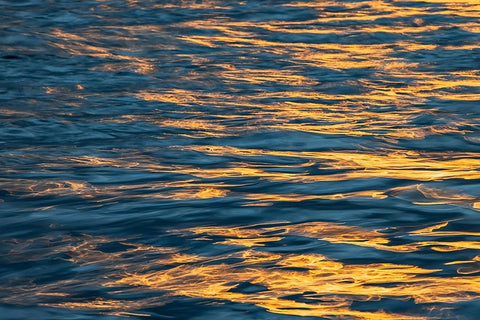 Sunset light on waters off Santa Cruz Island-Galapagos Islands-Ecuador Black Ornate Wood Framed Art Print with Double Matting by Jones, Adam