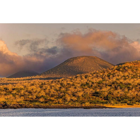 Santiago Island-Galapagos Islands-Ecuador Gold Ornate Wood Framed Art Print with Double Matting by Jones, Adam