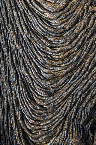 Recent Pahoehoe lava flow-Sullivan Bay-Santiago Island-Galapagos Islands-Ecuador Black Ornate Wood Framed Art Print with Double Matting by Jones, Adam