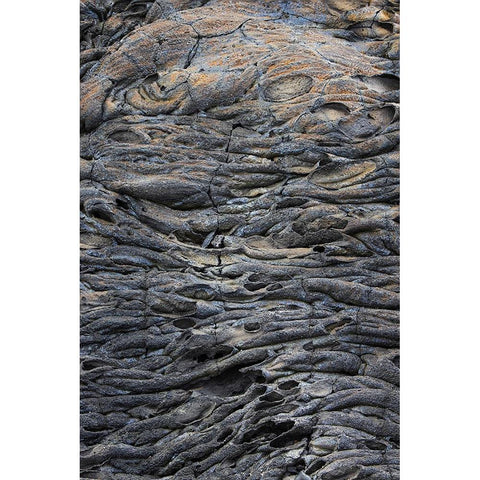 Recent Pahoehoe lava flow-Sullivan Bay-Santiago Island-Galapagos Islands-Ecuador Gold Ornate Wood Framed Art Print with Double Matting by Jones, Adam