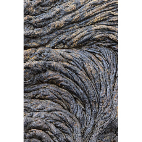 Recent Pahoehoe lava flow-Sullivan Bay-Santiago Island-Galapagos Islands-Ecuador Black Modern Wood Framed Art Print with Double Matting by Jones, Adam