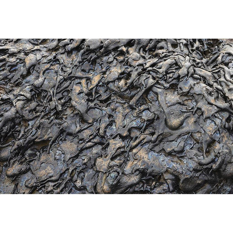 Recent Pahoehoe lava flow-Sullivan Bay-Santiago Island-Galapagos Islands-Ecuador Gold Ornate Wood Framed Art Print with Double Matting by Jones, Adam