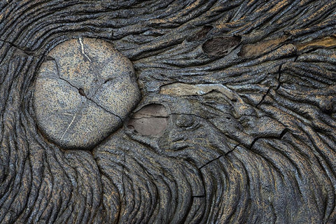 Recent Pahoehoe lava flow-Sullivan Bay-Santiago Island-Galapagos Islands-Ecuador White Modern Wood Framed Art Print with Double Matting by Jones, Adam