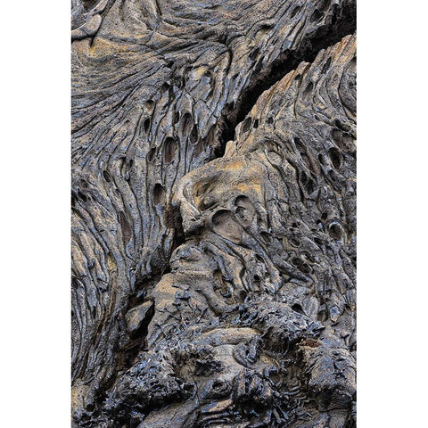 Recent Pahoehoe lava flow-Sullivan Bay-Santiago Island-Galapagos Islands-Ecuador Black Modern Wood Framed Art Print with Double Matting by Jones, Adam