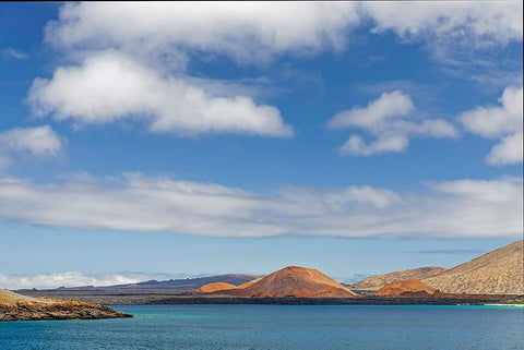 Shoreline of Santiago Island-Galapagos Islands-Ecuador White Modern Wood Framed Art Print with Double Matting by Jones, Adam
