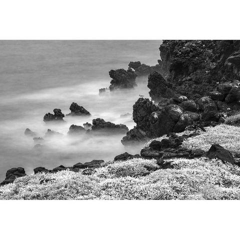 Rocky shoreline covered in Sesuvium-South Plaza Island-Galapagos Islands-Ecuador Gold Ornate Wood Framed Art Print with Double Matting by Jones, Adam